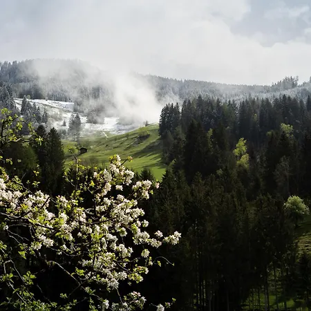 Heimathaus Hettegger Grossarl