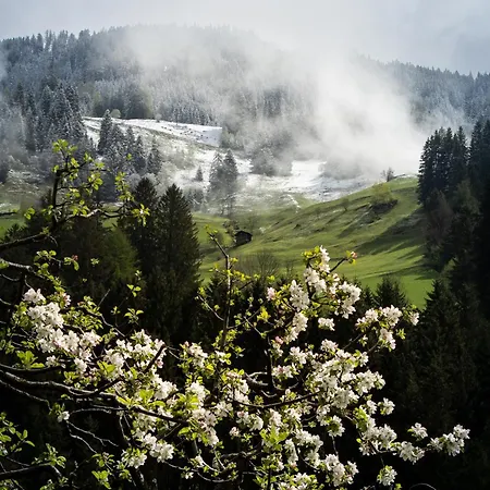 Heimathaus Hettegger *