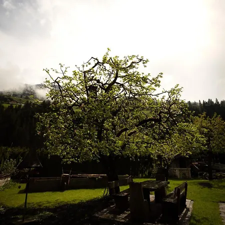 Heimathaus Hettegger Appartement Grossarl