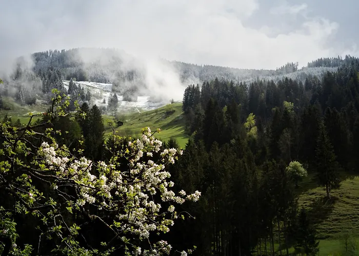 Heimathaus Hettegger Grossarl