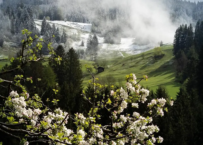 Heimathaus Hettegger *