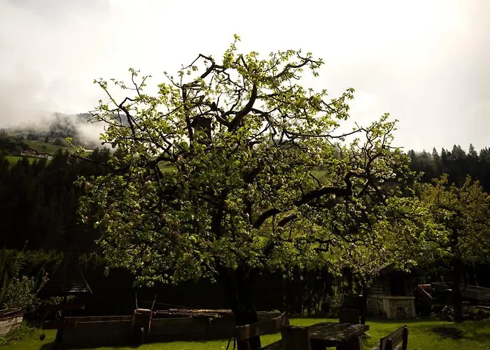 Heimathaus Hettegger Apartamento Grossarl